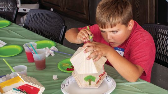BIRD HOUSE PAINTING