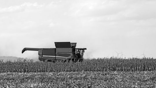 CORN HARVEST IN PARSONS