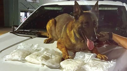 Deputies recover 5 pounds of meth Deputies recover 5 pounds of meth
