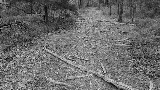 New trail at Big Hill Lake receives official Purple Heart designation