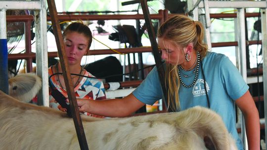SCENES FROM THE 2024 LABETTE COUNTY FAIR