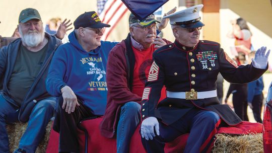 VETERANS DAY PARADE