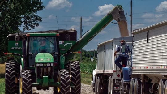 WHEAT HARVEST