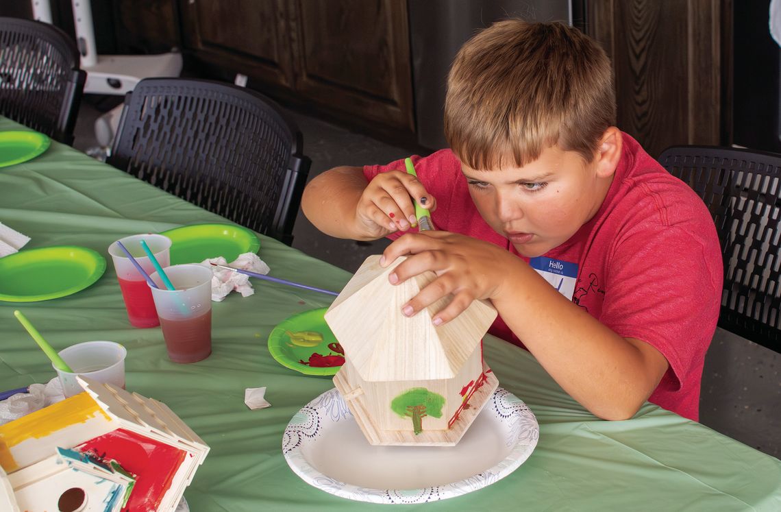 BIRD HOUSE PAINTING