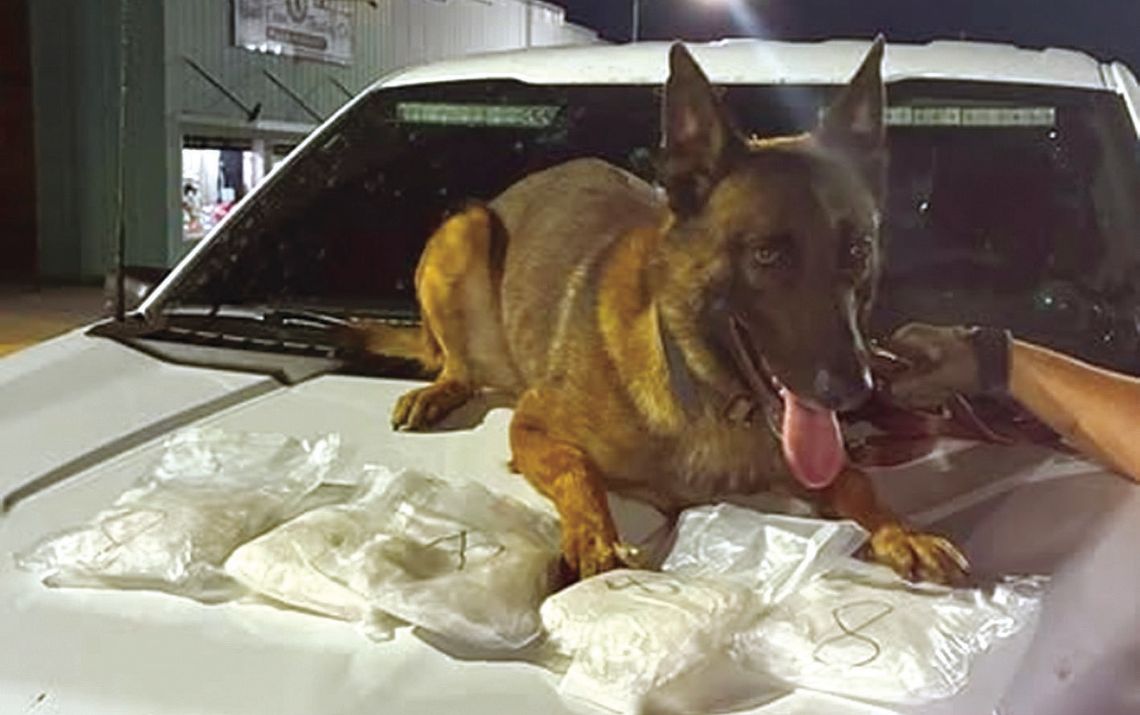 Deputies recover 5 pounds of meth