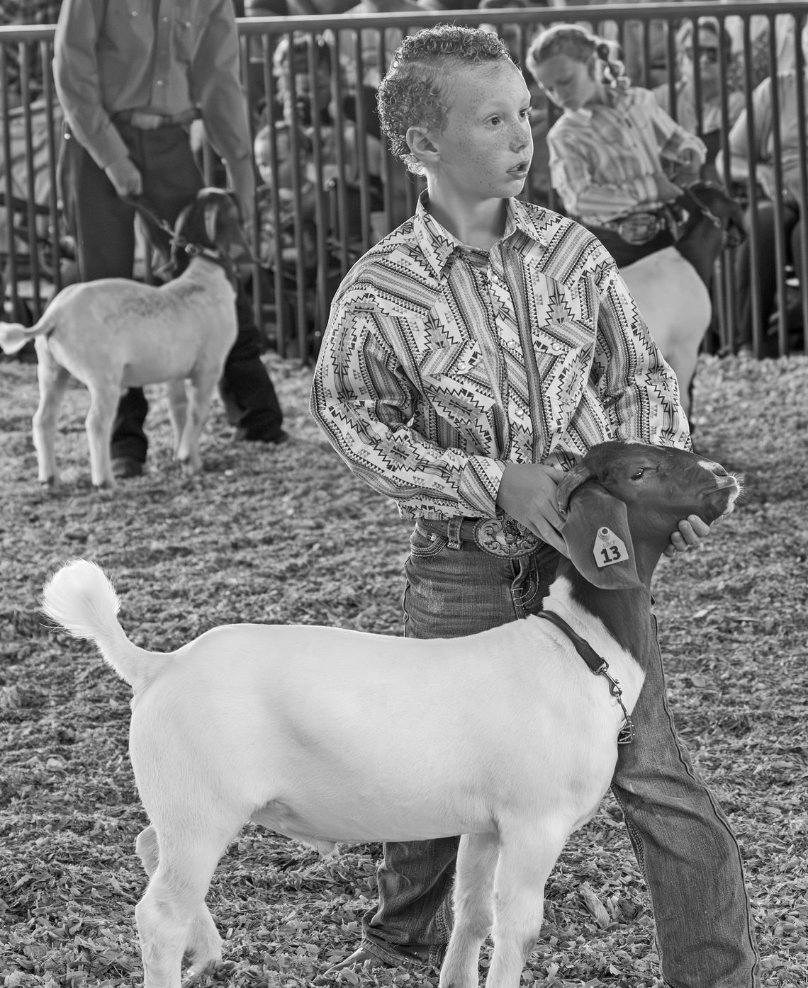 MEAT GOATS SHOWMANSHIP