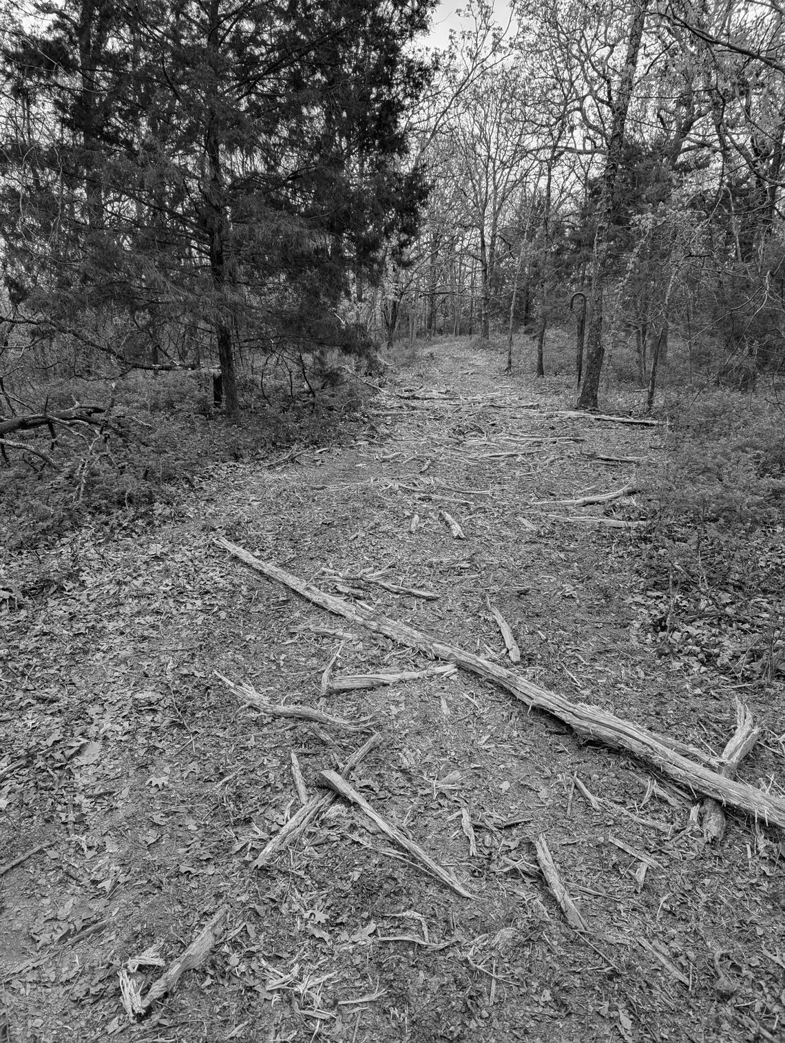 New trail at Big Hill Lake receives official Purple Heart designation New trail at Big Hill Lake receives official Purple Heart designation