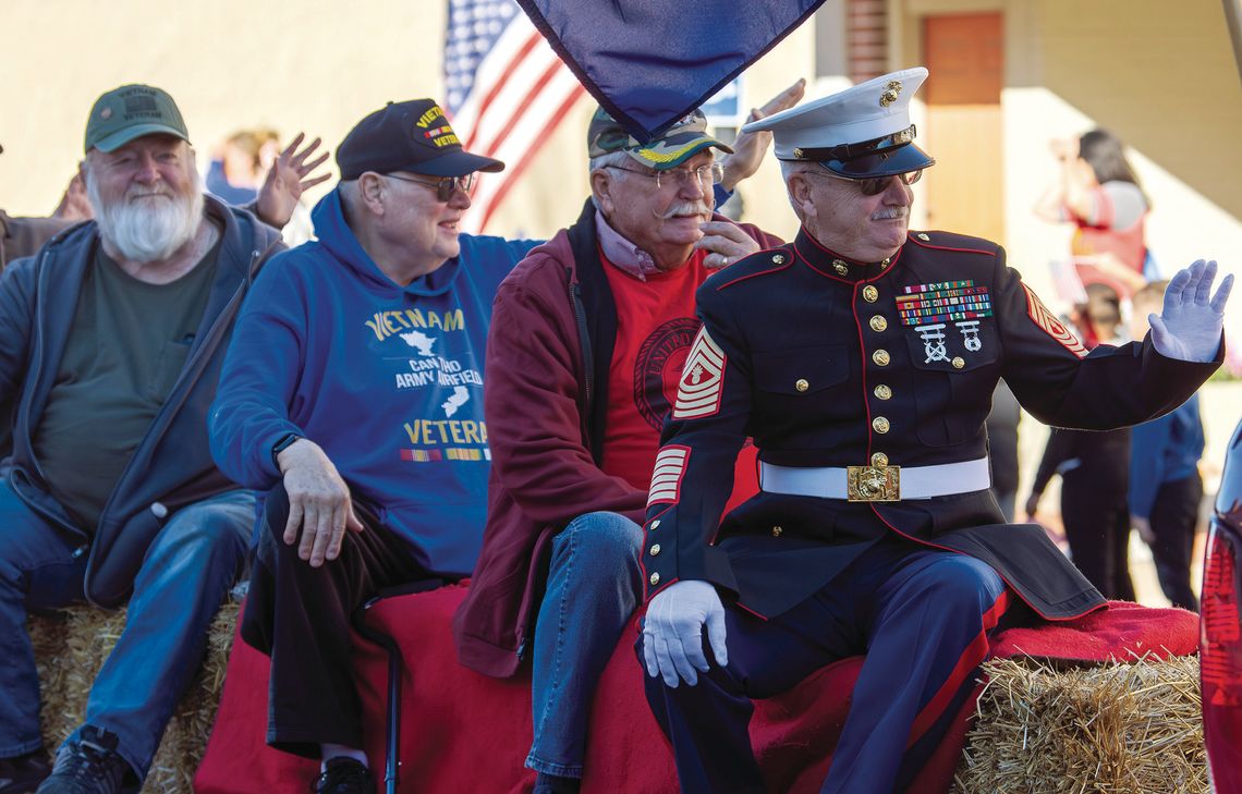 VETERANS DAY PARADE