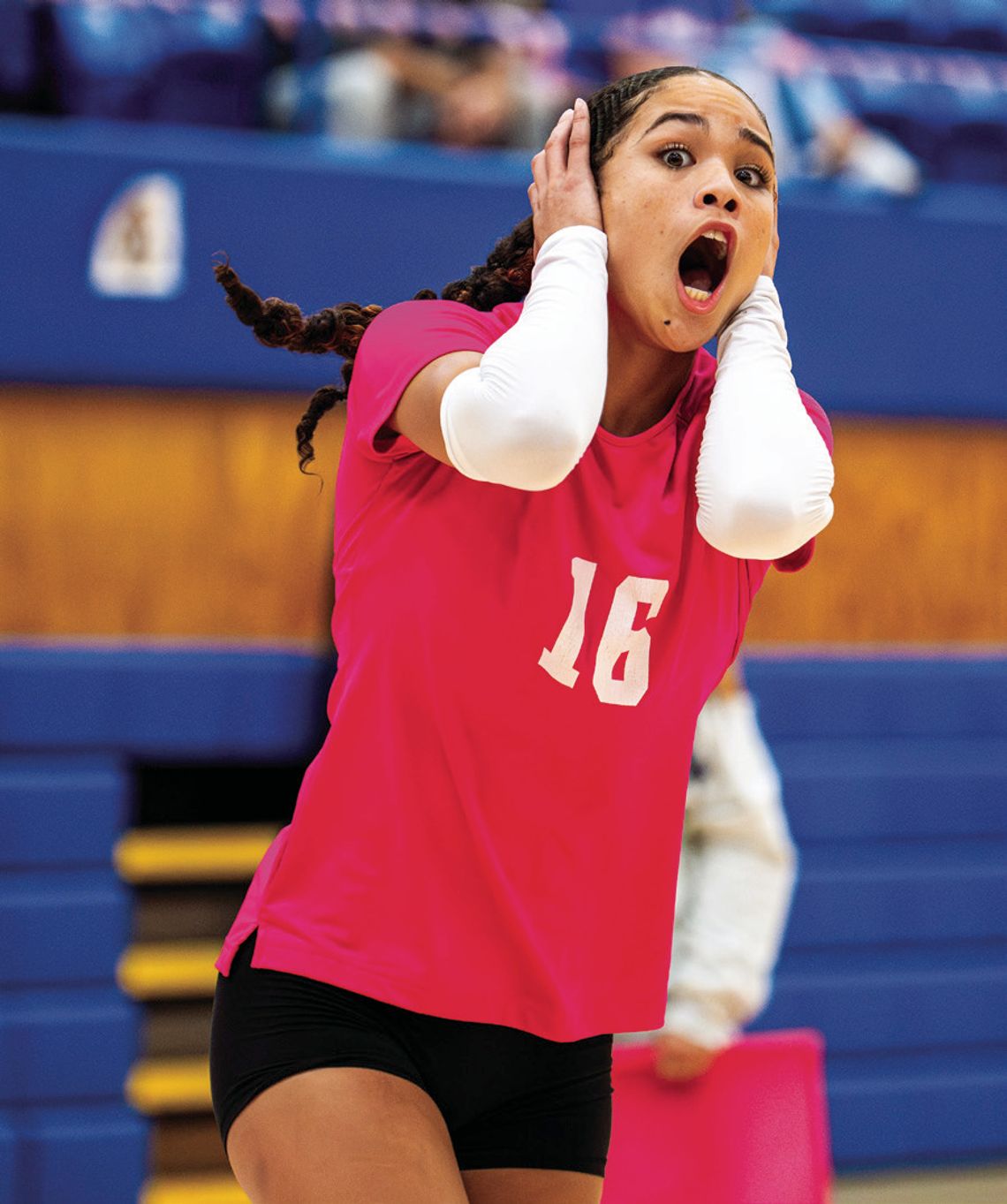 Vikings sweep senior night