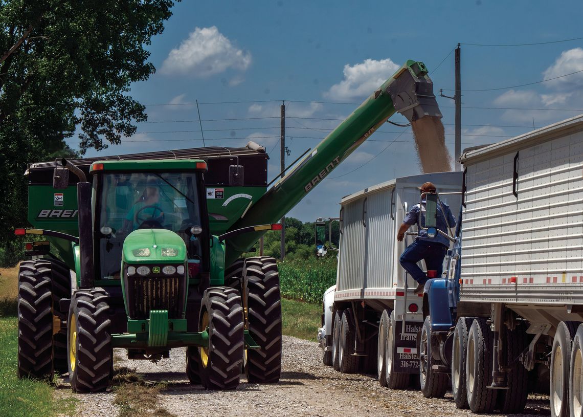 WHEAT HARVEST